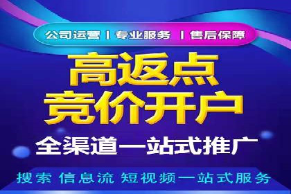 竞价排名在品牌推广中的经典案例